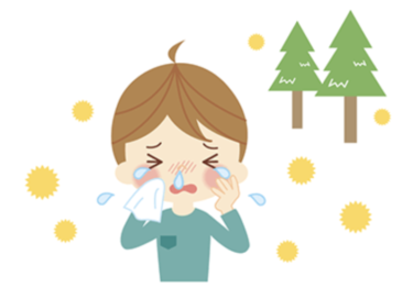 花粉症はなぜ突然発症する？気をつける時期と対策！よく効く医薬品は？